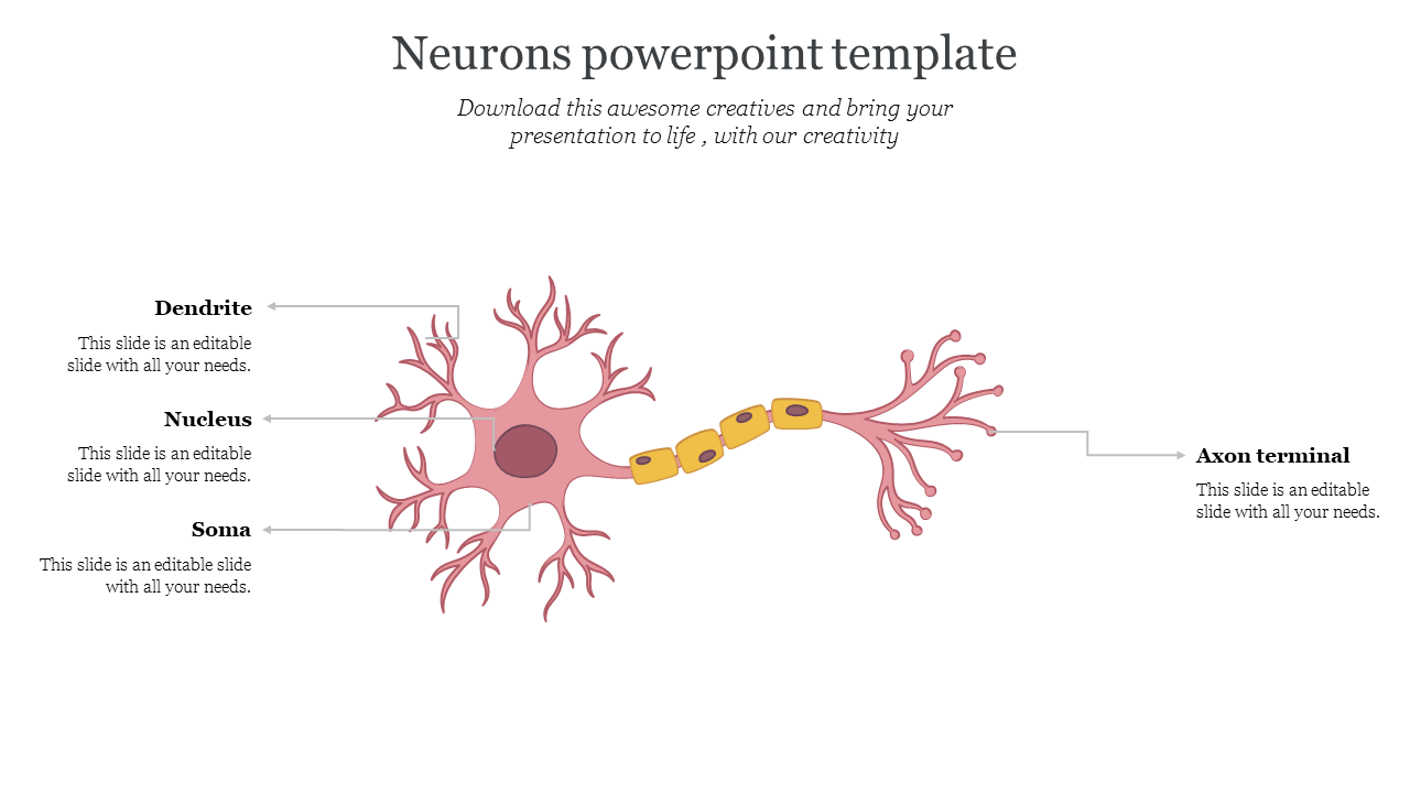 Neurons powerpoint template